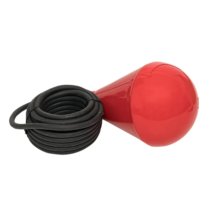 картинка Поплавковый выключатель RL-1 с кабелем 5 м  